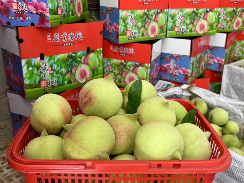 鹰嘴桃基地直发非云南连平蜜桃子，江西鹰嘴脆桃社区电商团购
