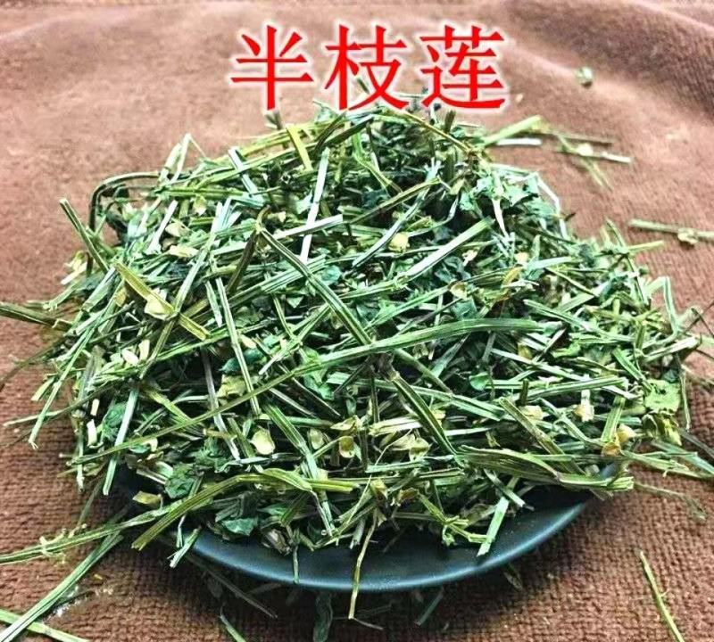 中药材半枝莲挖耳草道地中草药半枝莲干净无杂包邮