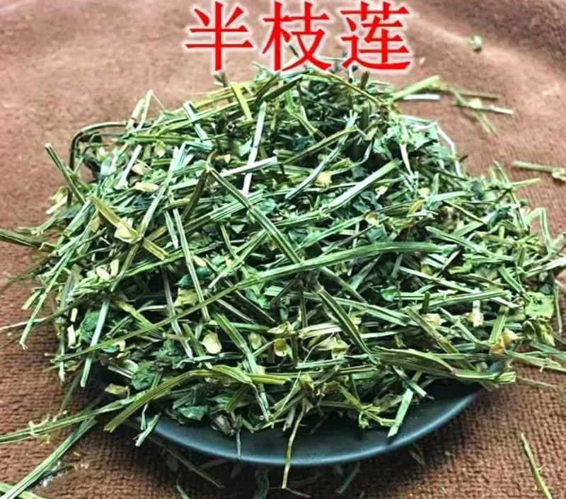 中药材半枝莲挖耳草道地中草药半枝莲干净无杂包邮