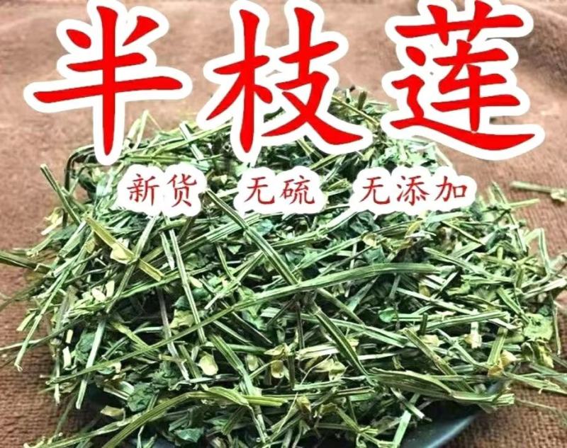 中药材半枝莲挖耳草道地中草药半枝莲干净无杂包邮