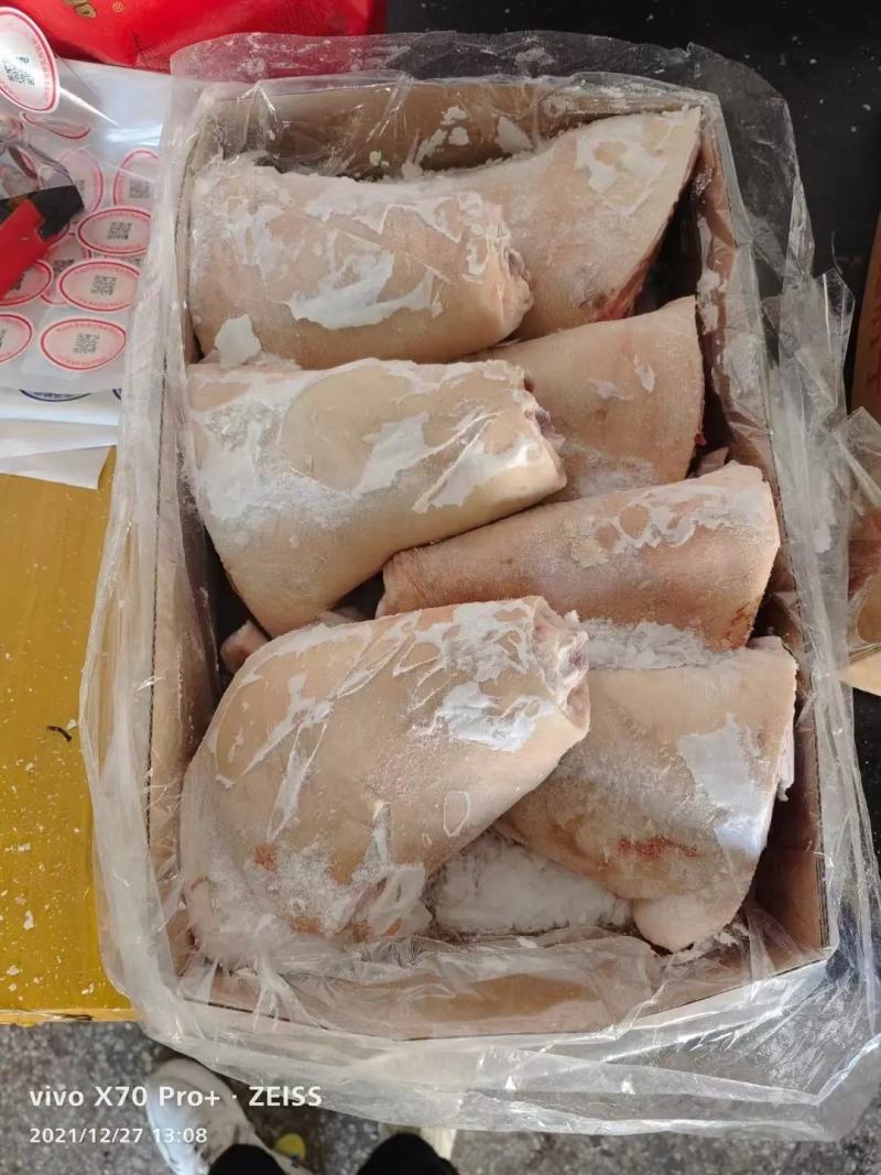 【优质】国产肥猪肘子，猪肘子。货源充足，厂家直发，物美