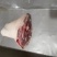 【优质】国产肥猪肘子，猪肘子。货源充足，厂家直发，物美