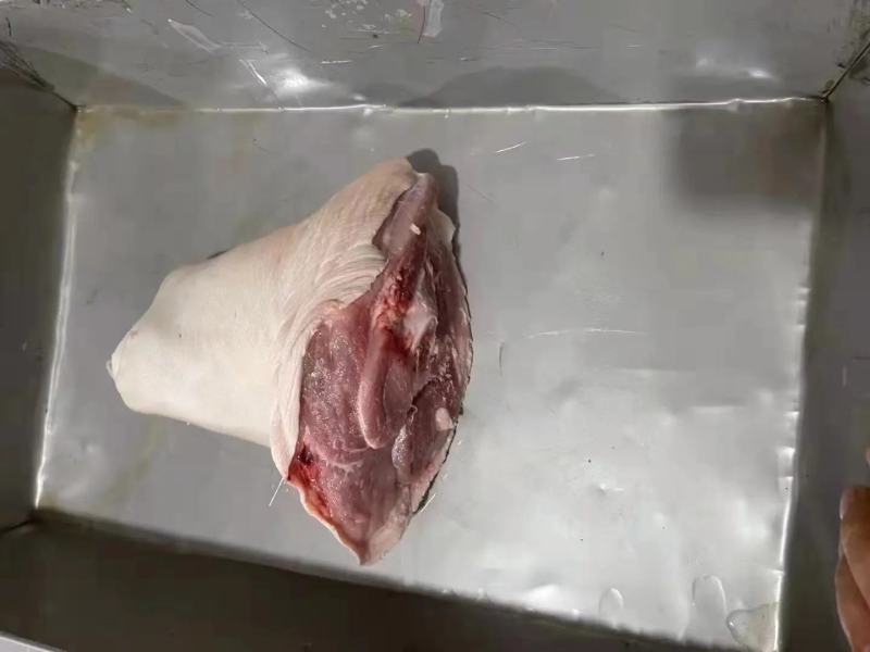 【优质】国产肥猪肘子，猪肘子。货源充足，厂家直发，物美