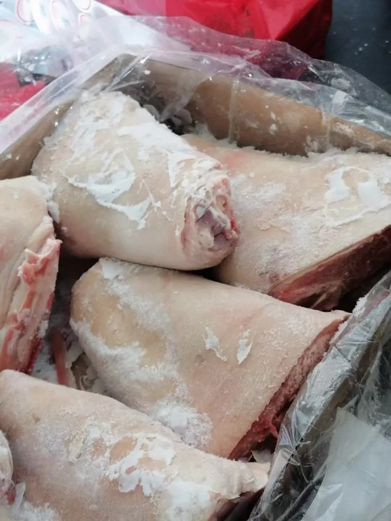 【优质】国产肥猪肘子，猪肘子。货源充足，厂家直发，物美