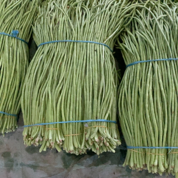 郯城县长豆角大量上市，货源冲足，量大从优