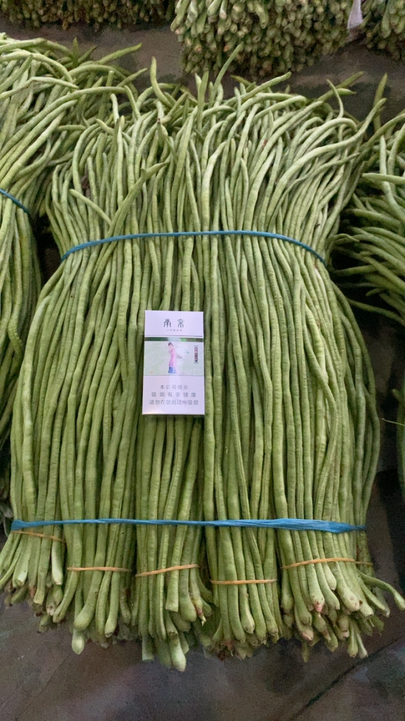 郯城县长豆角大量上市，货源冲足，量大从优