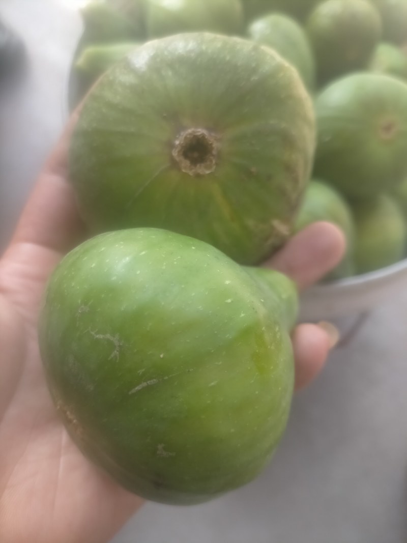 青皮无花果