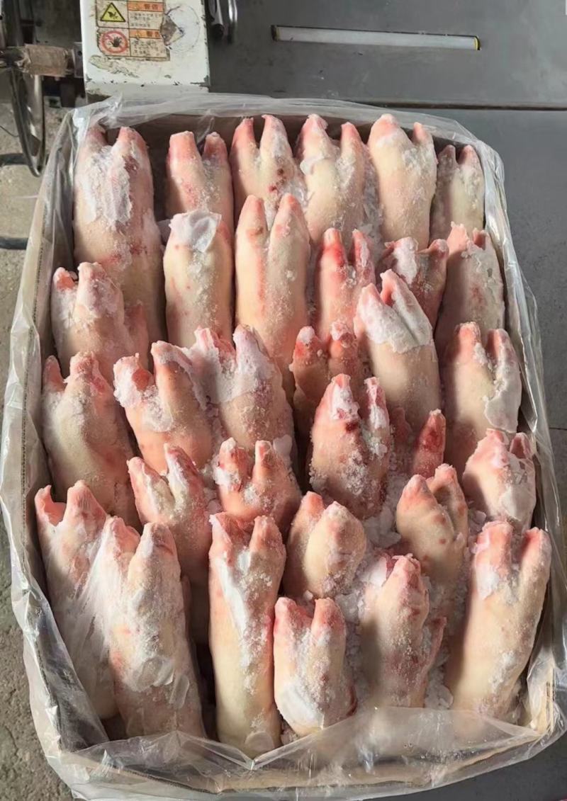 母猪二级带筋猪蹄，新货，货源充足，供应稳定