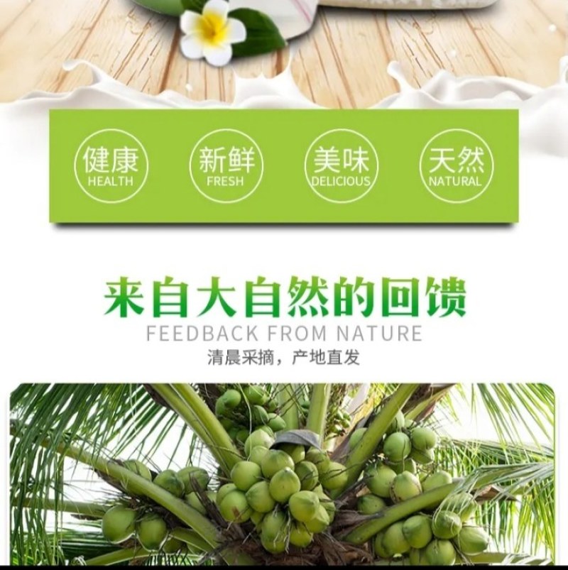 来自海南的椰青