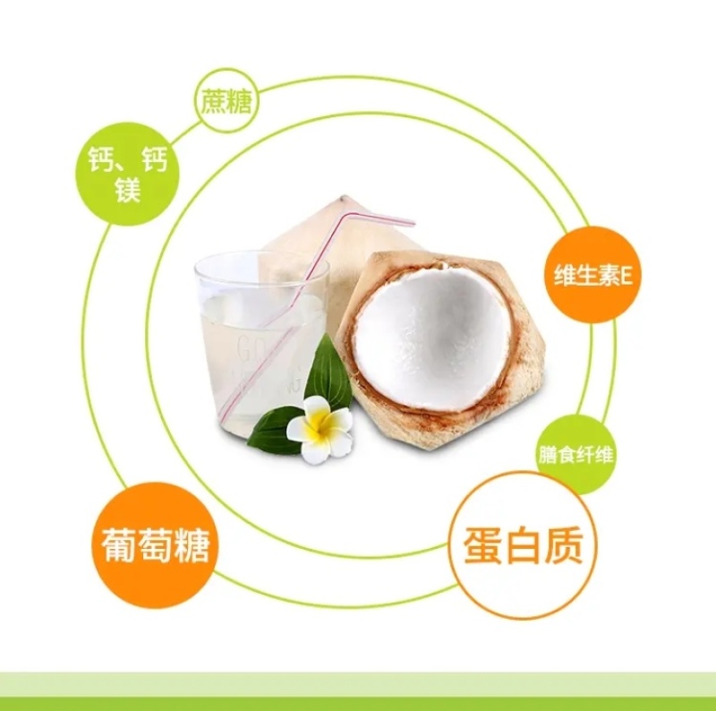 来自海南的椰青