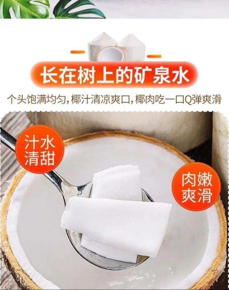来自海南的椰青