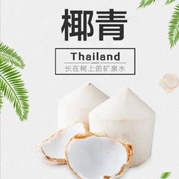 来自海南的椰青