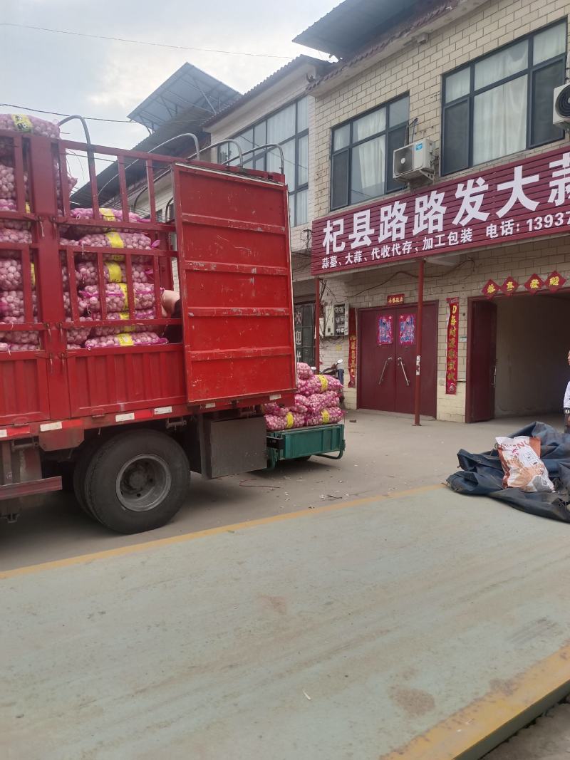 杞县路路发蒜业公司