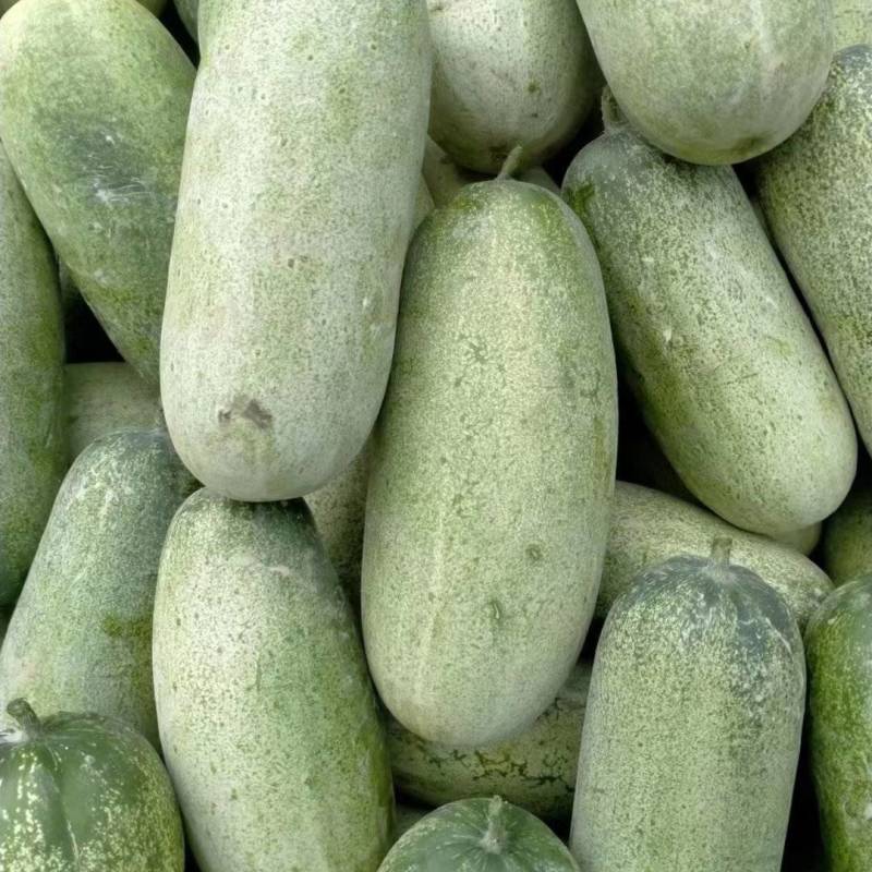 豇豆