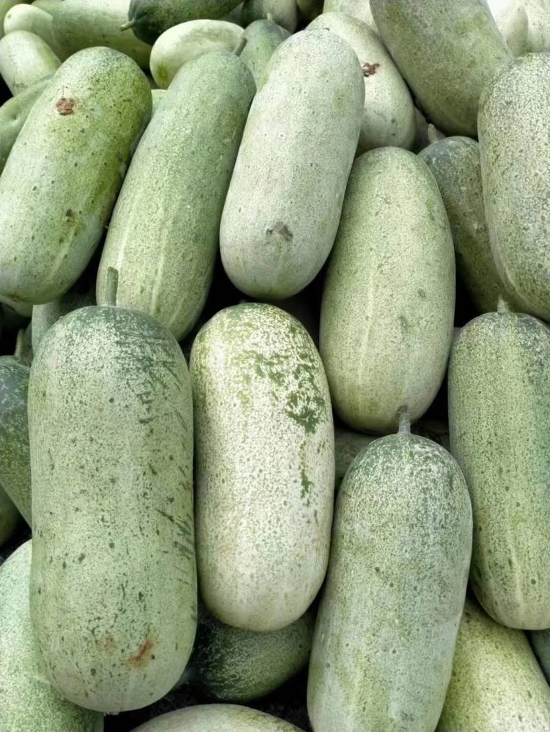 豇豆