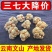 正宗文山精品三七