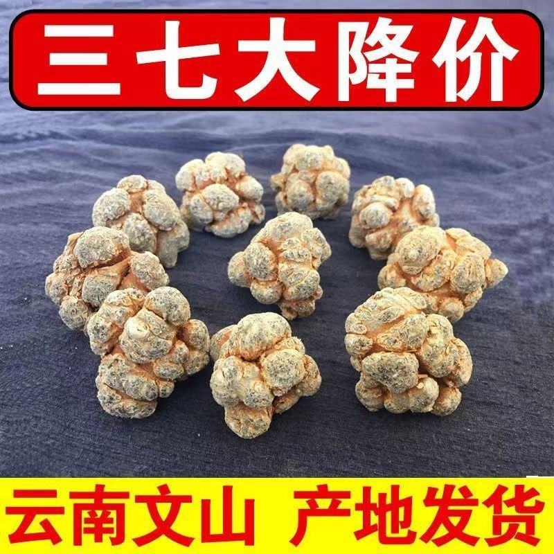 正宗文山精品三七