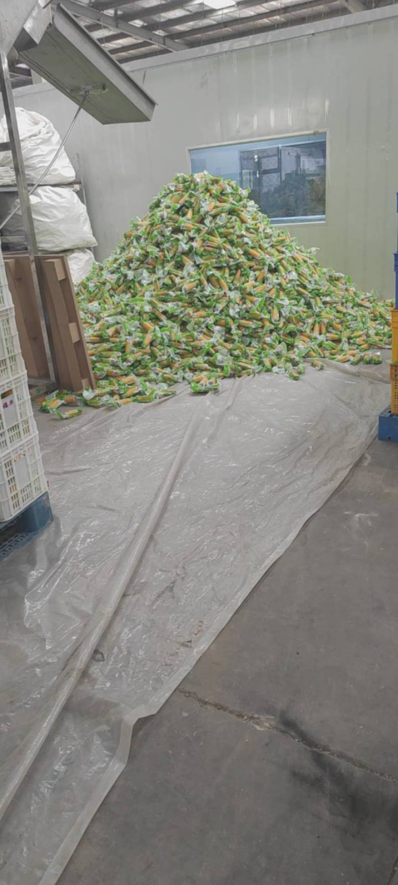 黄玉米棒子香甜糯玉米真空包装即食电商团购一件代发工厂直