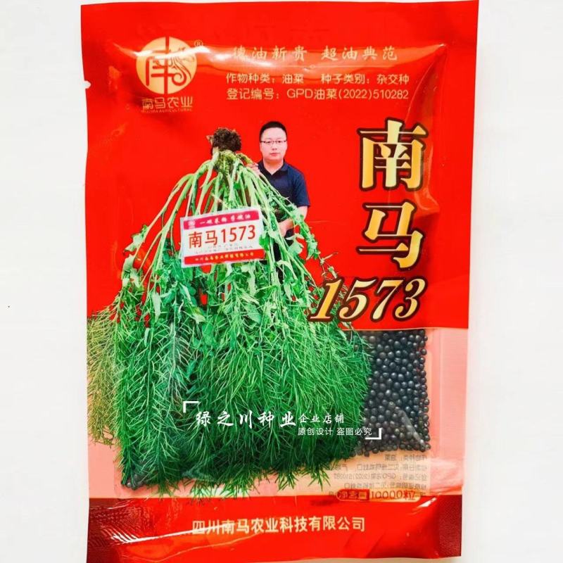 食用油类型品种南马1573油菜种子一碗菜籽半碗油矮杆油菜