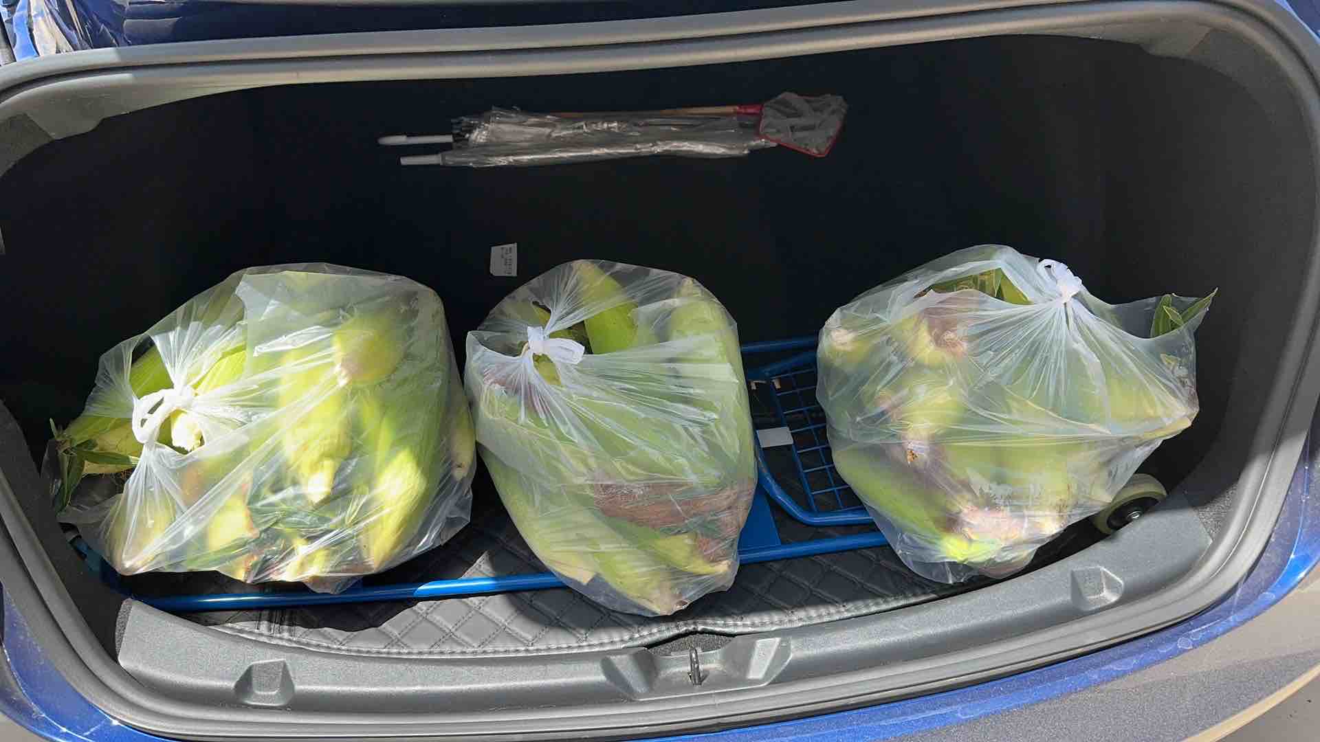 消费者在超市挑选速冻甜玉米粒场景