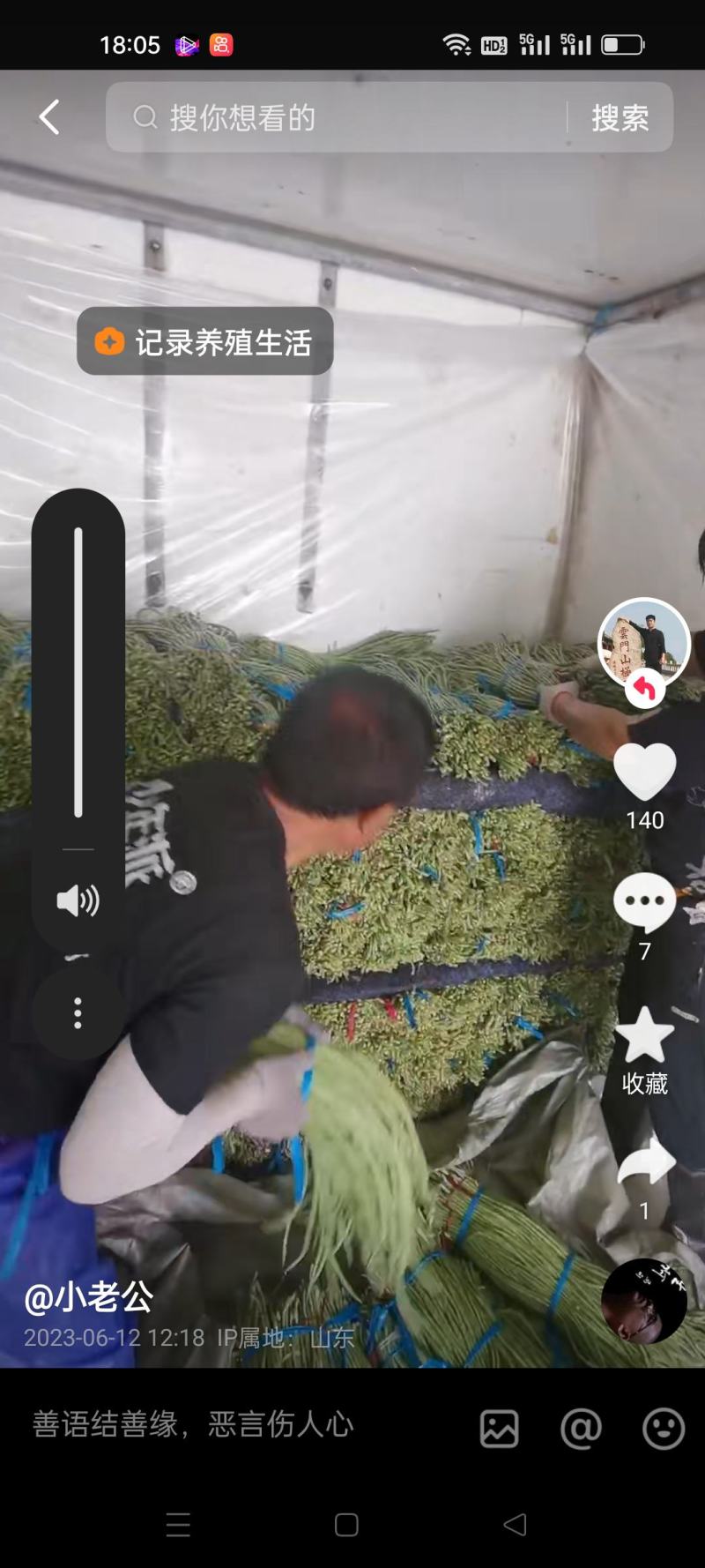 精品豇豆