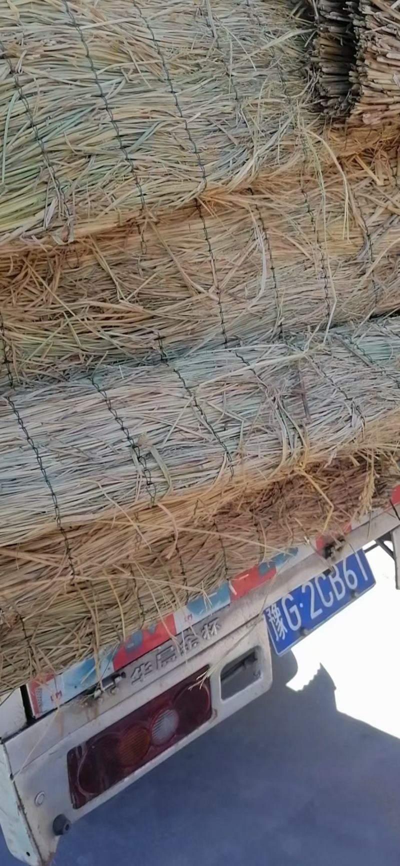 稻草，新下来的稻草，原阳县级示范合作社，是草苫的主要产区