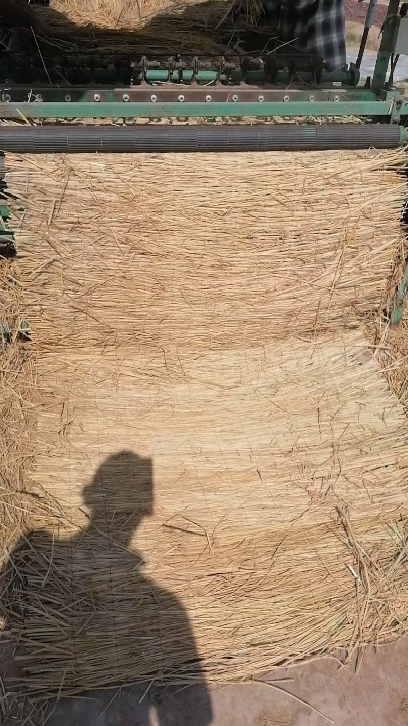 稻草，新下来的稻草，原阳县级示范合作社，是草苫的主要产区