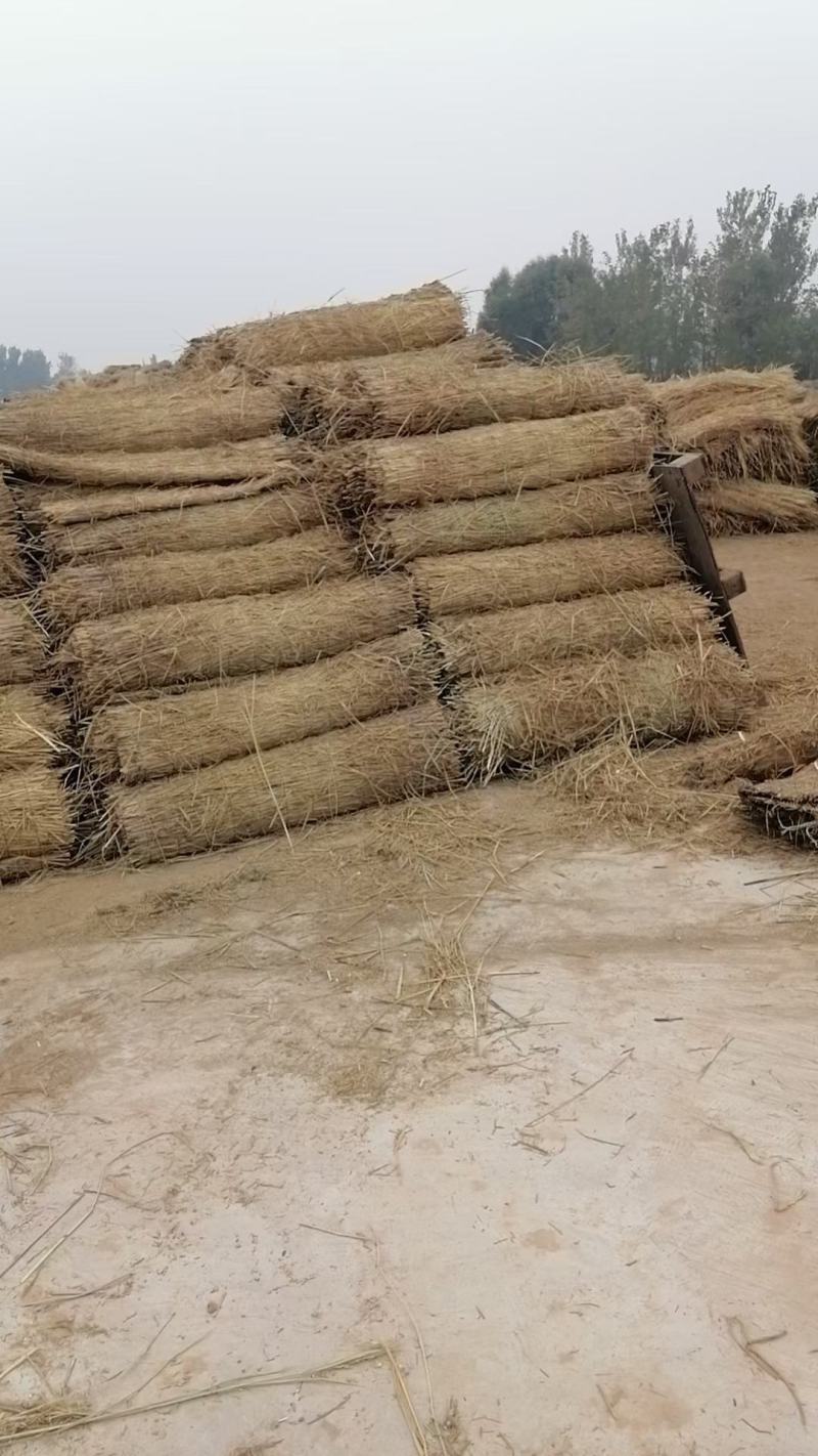 稻草，新下来的稻草，原阳县级示范合作社，是草苫的主要产区