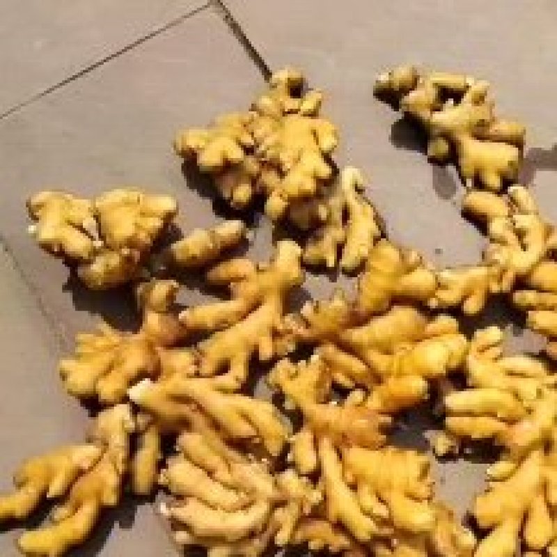 山东产地小黄姜大量上市量大从优一手货源欢迎致电