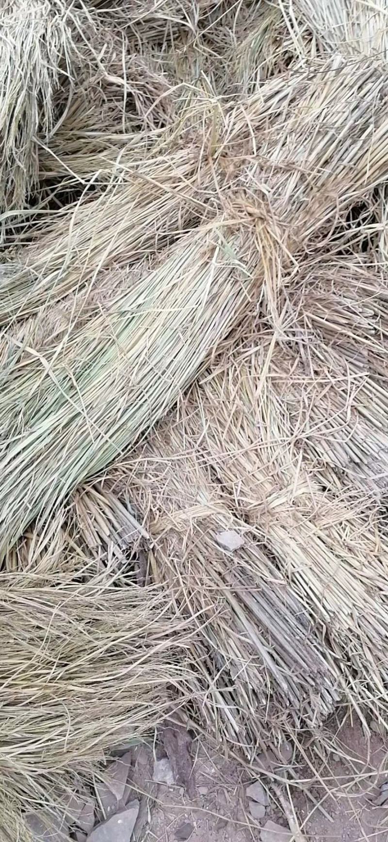 批发保暖稻草草苫子大棚草帘绿化草帘草苫子稻草帘