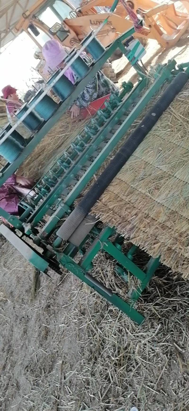 批发保暖稻草草苫子大棚草帘绿化草帘草苫子稻草帘