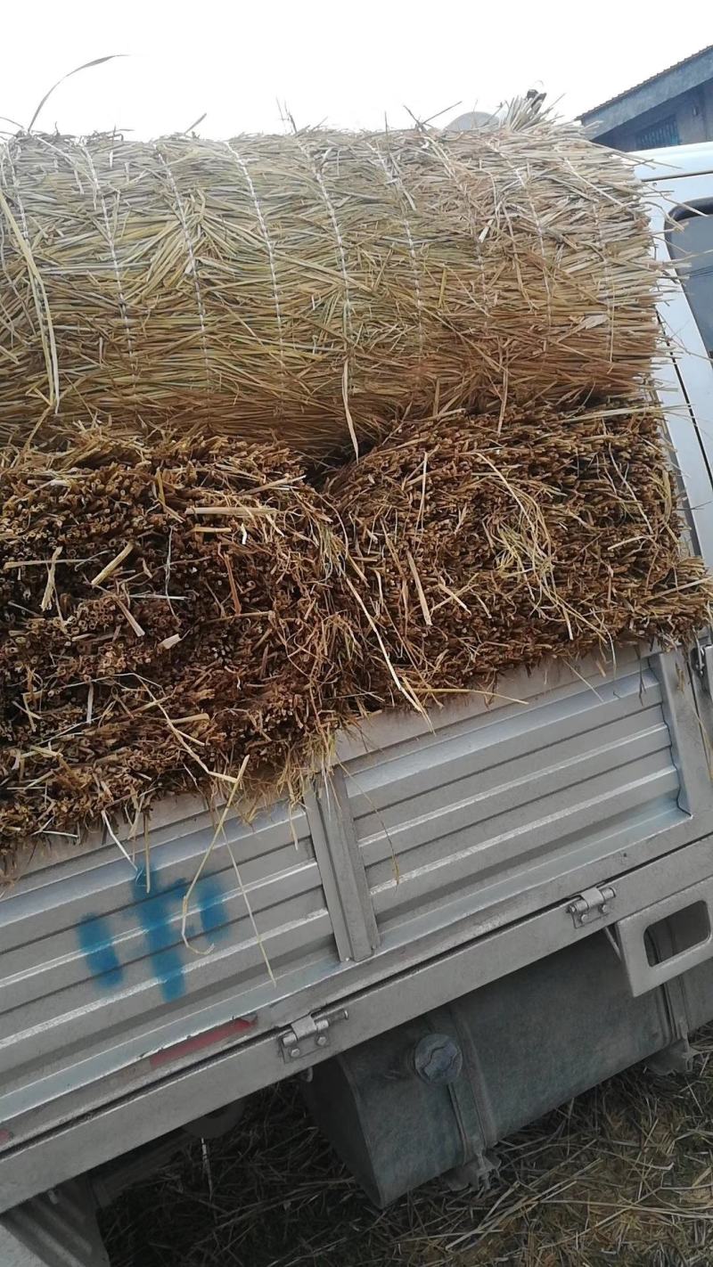 批发保暖稻草草苫子大棚草帘绿化草帘草苫子稻草帘