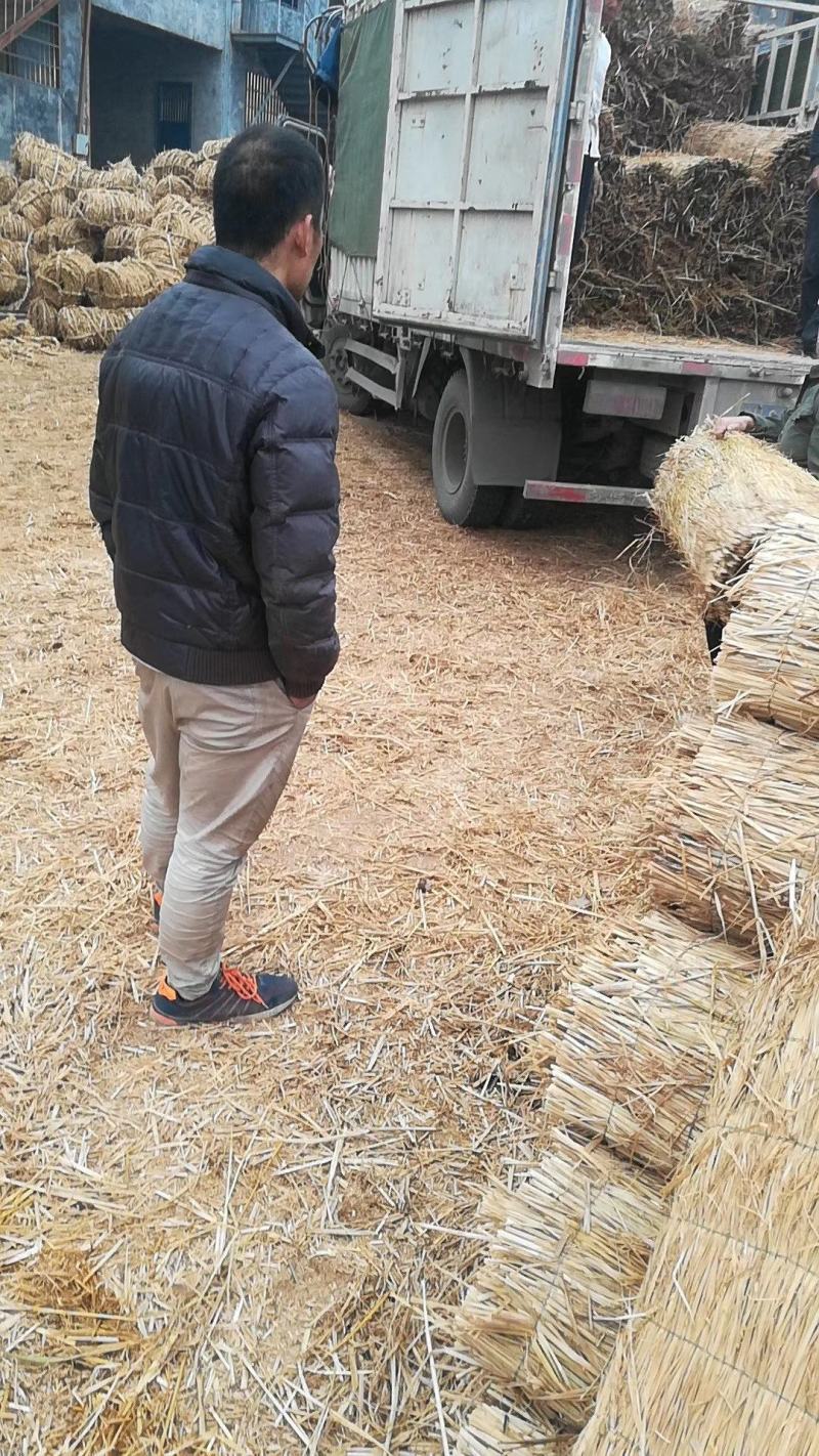 批发保暖稻草草苫子大棚草帘绿化草帘草苫子稻草帘