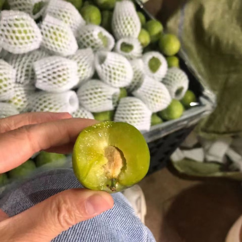 贵州脱骨李酸甜多汁正宗空心李