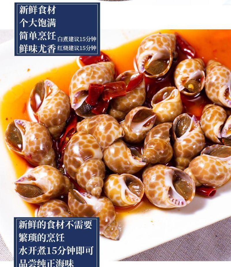 新鲜大花螺花螺鲜活冷冻新鲜东风螺海螺海猪螺海鲜水产好欢螺