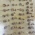 新鲜大花螺花螺鲜活冷冻新鲜东风螺海螺海猪螺海鲜水产好欢螺