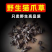 【精品】云南猫爪草野生猫爪草量大全国可发保质保量