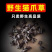 【精品】云南猫爪草野生猫爪草量大全国可发保质保量