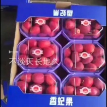 香妃海棠，锦绣海棠，铁岭市，开原市，大量现货