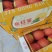 甘肃民勤精品金红宝哈密瓜，高糖分，大量供应商超