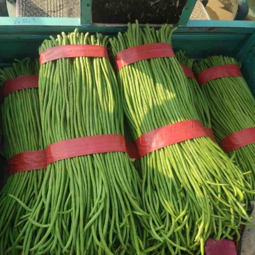 精品长豆角