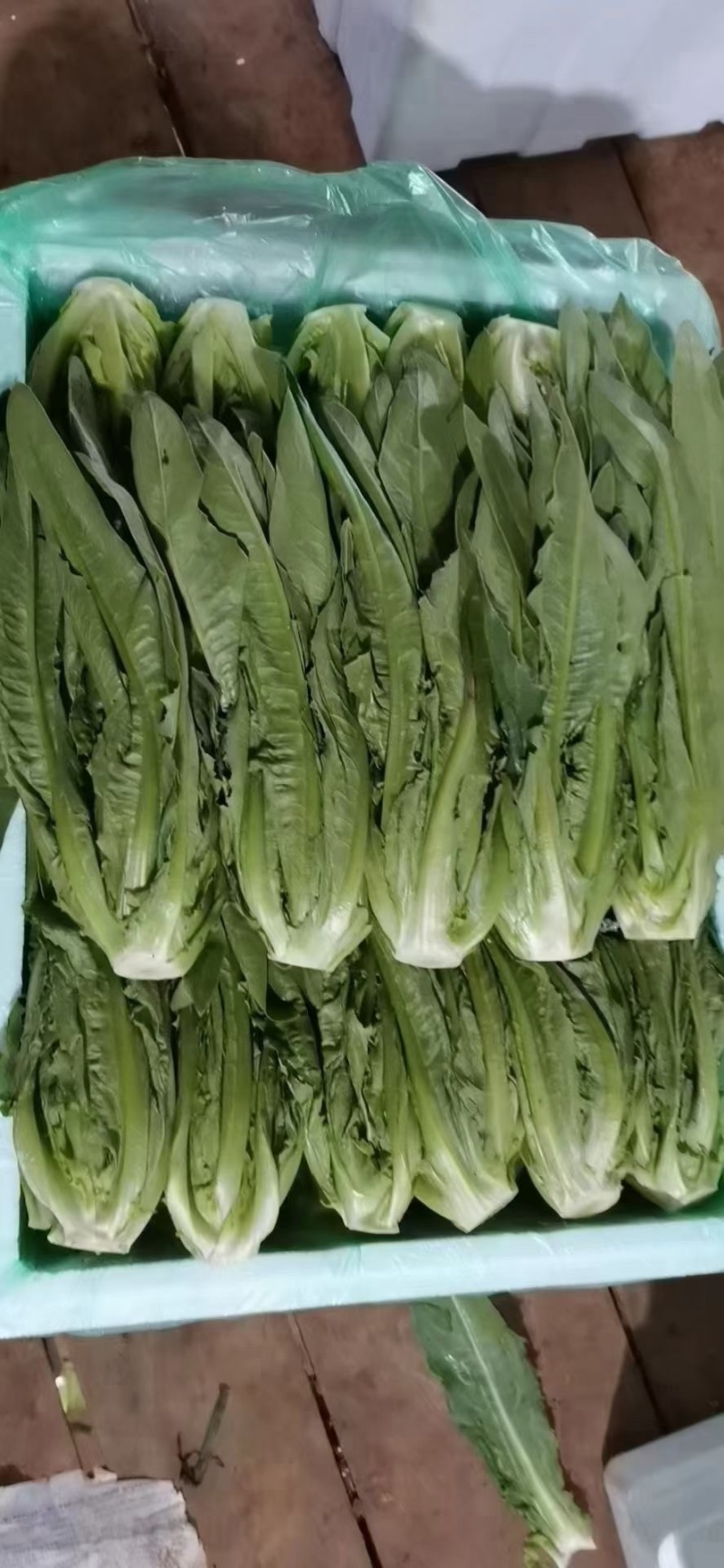 精品蔬菜
