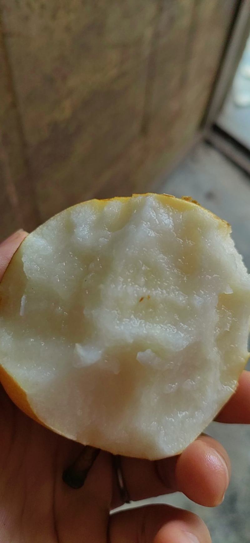 丰水梨口感甜