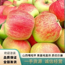 优质嘎啦苹果膜袋-中条山西特产一手货源品质保证价格