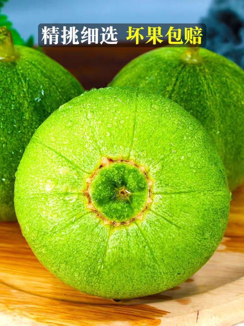 甜宝甜瓜产地一手货源支持视频看货打款发货量大从优