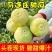 甜宝甜瓜产地一手货源支持视频看货打款发货量大从优