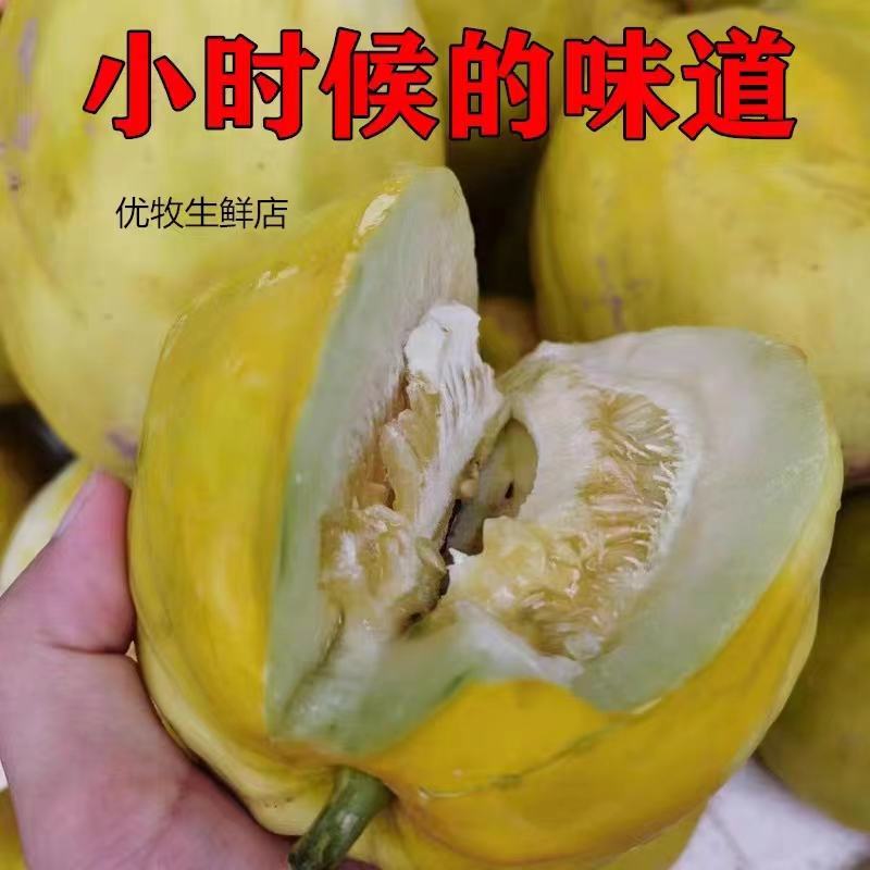丑八怪甜瓜.，丑瓜，货源充足，保质保量，欢迎订购。