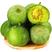 绿宝甜瓜产地一手货源视频看货，打款发货保质保量