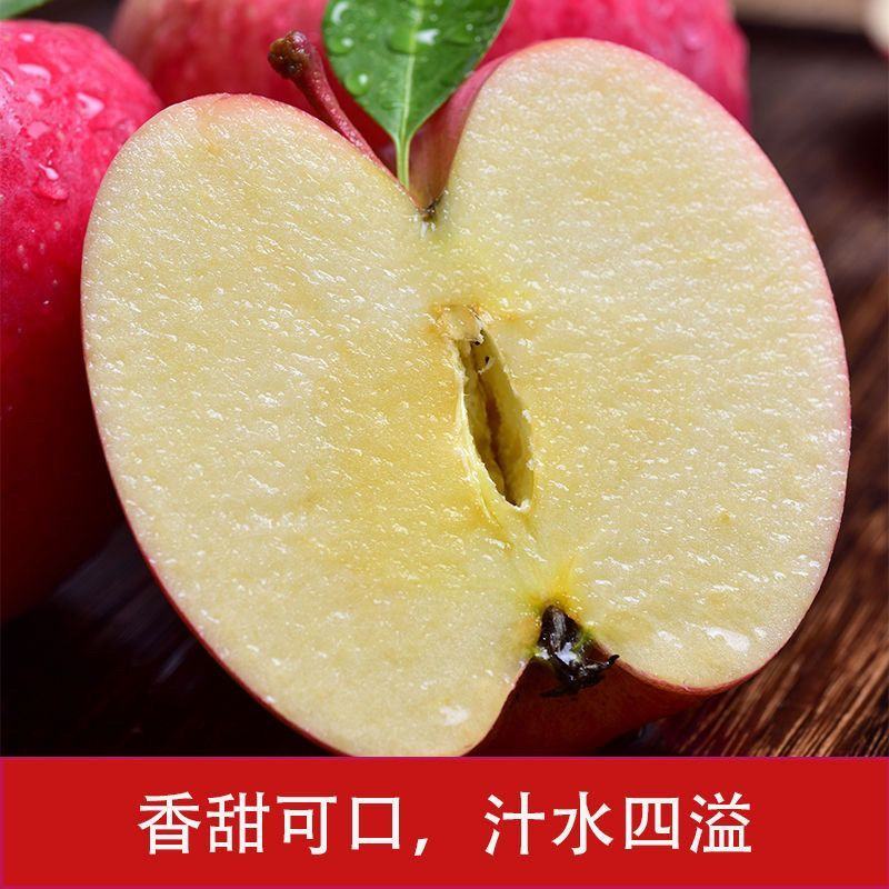 山东红富士苹果冰糖心苹果坏果包赔又大又甜欢迎老板联系