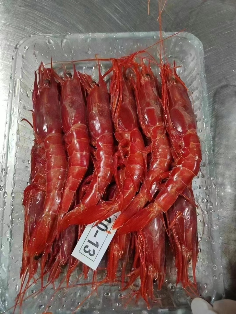 北极贝北极甜虾西麟鱼籽刺身寿司日料店